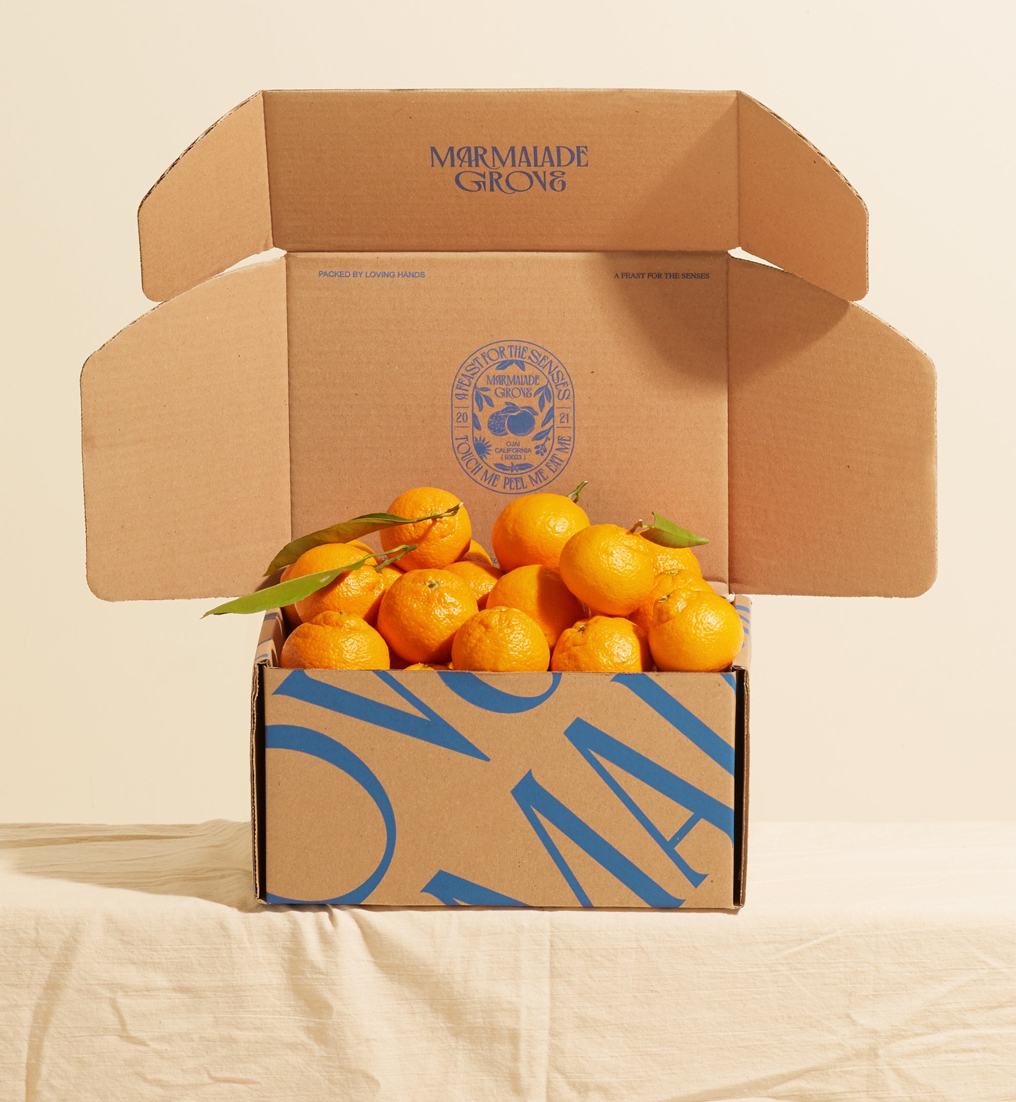 Get Sweet Satsuma Mandarin Oranges Delivered